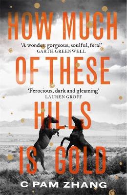 Cover image for How Much of These Hills is Gold by C Pam Zhang