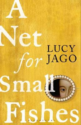 Cover image for A Net for Amall Fishes by Lucy Jago