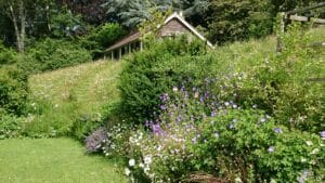 The Cottage in the Garden (E Sussex)