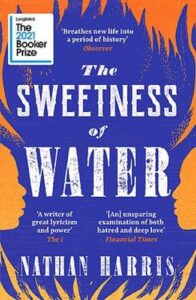 Cover image for A Sweetness of Water by Nathan Harris