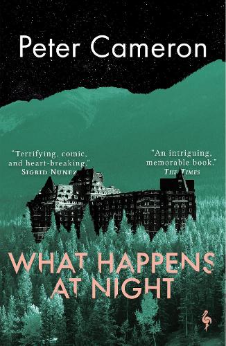 Cover image for What Happens at Night by Peter Cameron