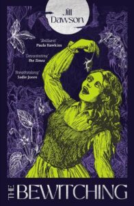 Cover image for The Bewitching by Jill dawson